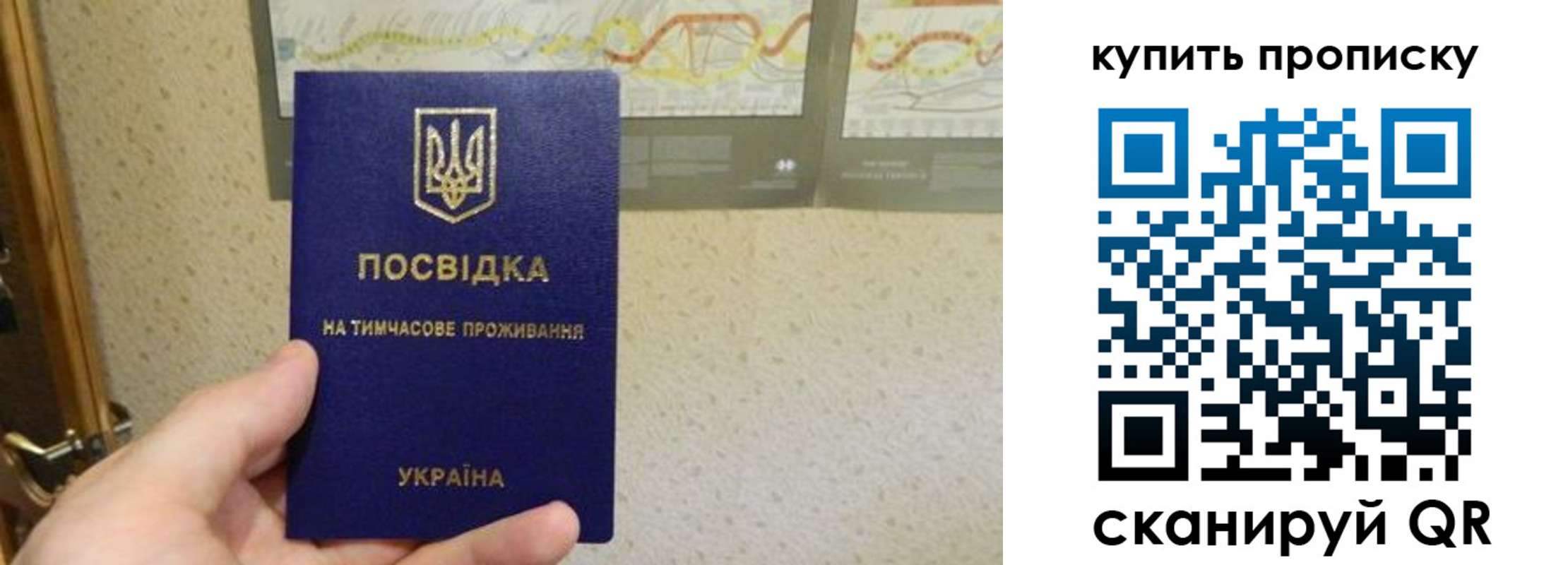 временная регистрация поиск в Советской Гавани